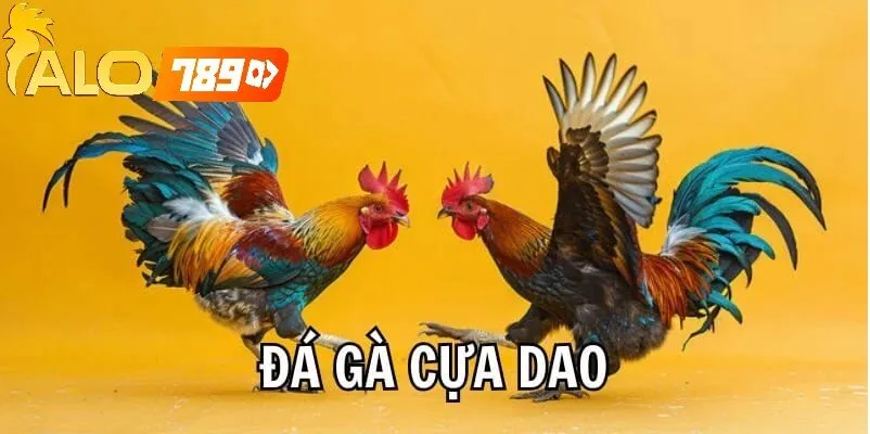 Trực Tiếp Đá Gà Cựa Dao Alo789 – Trải Nghiệm Đỉnh Cao, Uy Tín