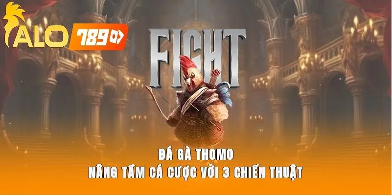 Luật Đá Gà Thomo Alo789 – Trải Nghiệm Live Đỉnh Cao