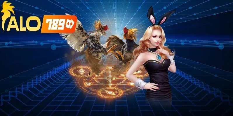 Thắc Mắc Thường Gặp Khi Xem Lịch Đá Gà Theo Ngày Alo789